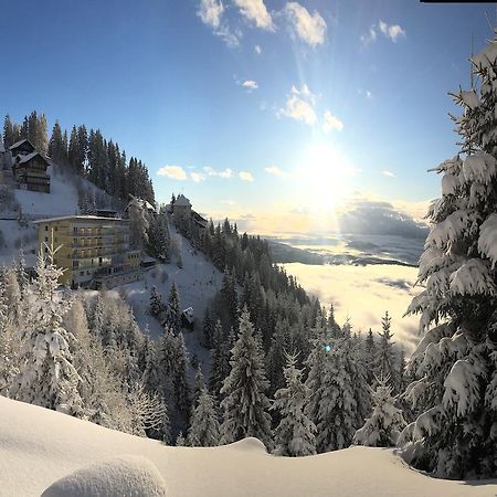 Sonnenhotel Zaubek Treffen Dış mekan fotoğraf