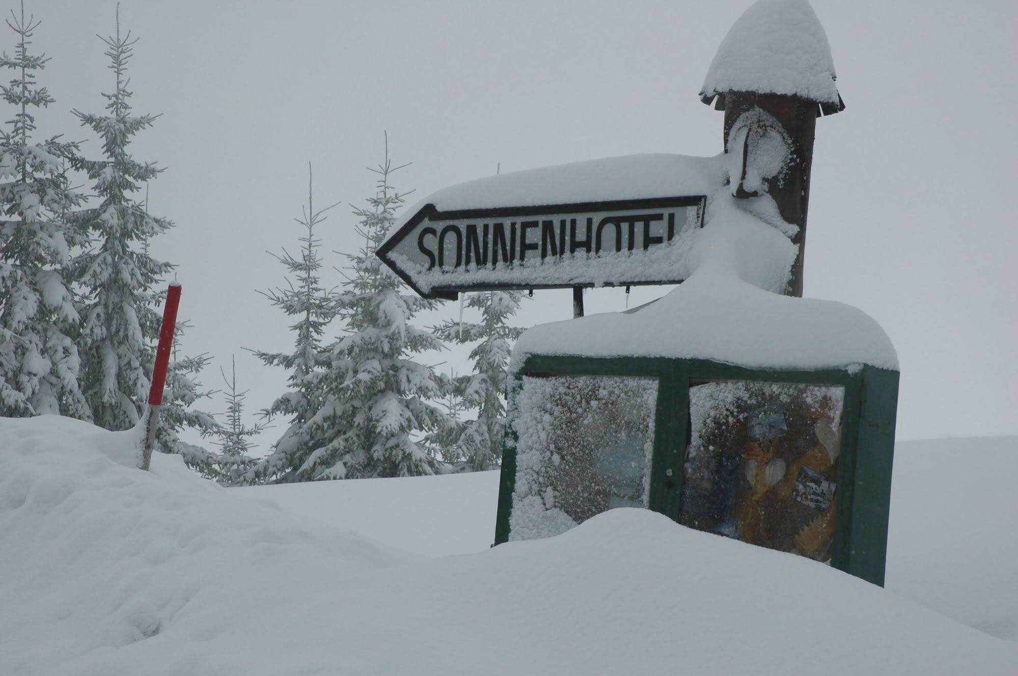 Sonnenhotel Zaubek Treffen Dış mekan fotoğraf